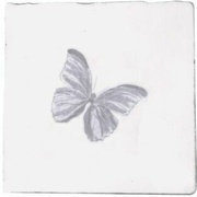 Декор Cevica Provenza Dec. Butterfly Gris (Blanco)